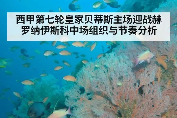 西甲第七轮皇家贝蒂斯主场迎战赫罗纳伊斯科中场组织与节奏分析